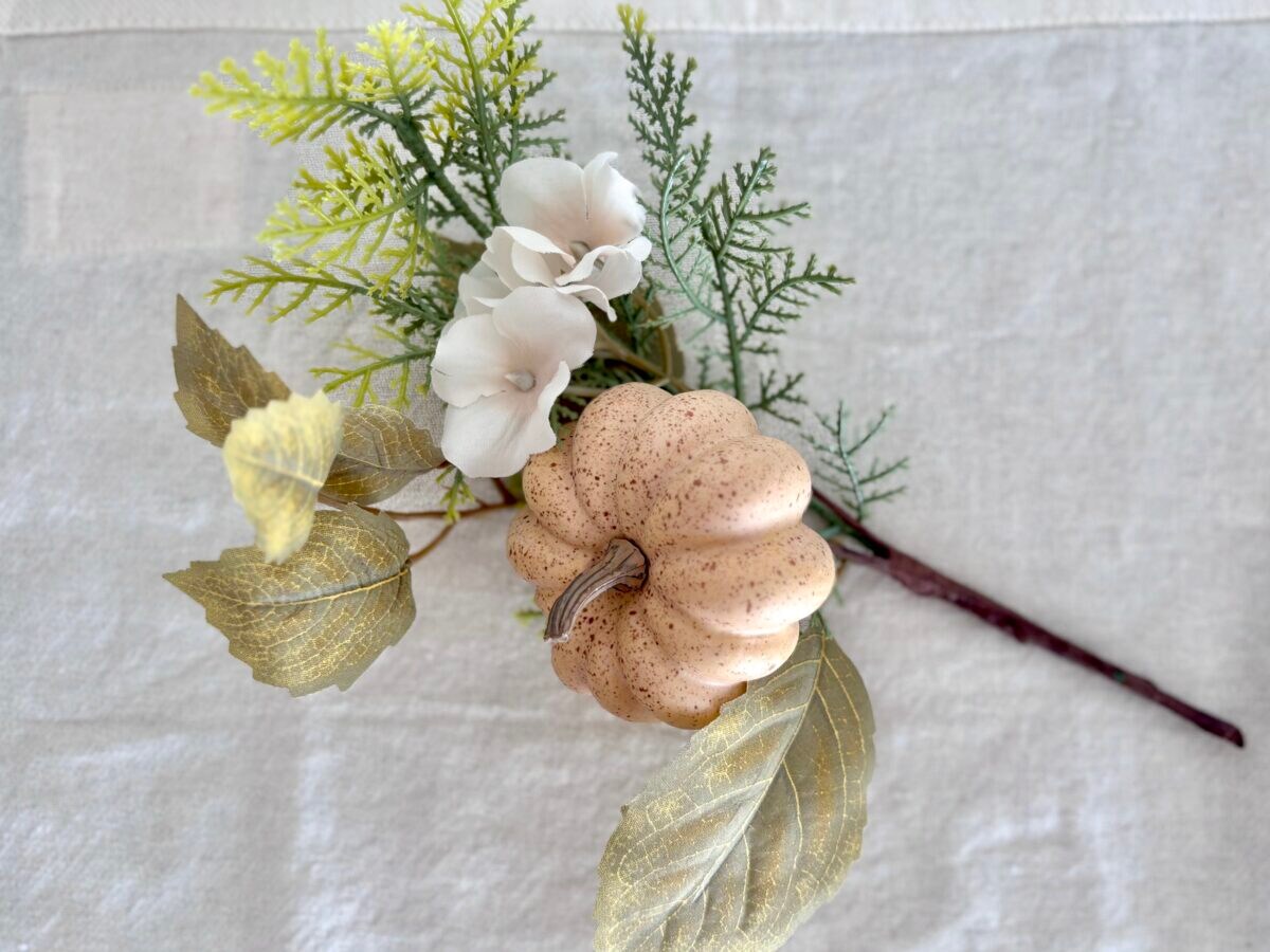 【2025年最新】ダイソーのハロウィングッズ大特集！ 仮装もお菓子もプチプラで可愛く♡