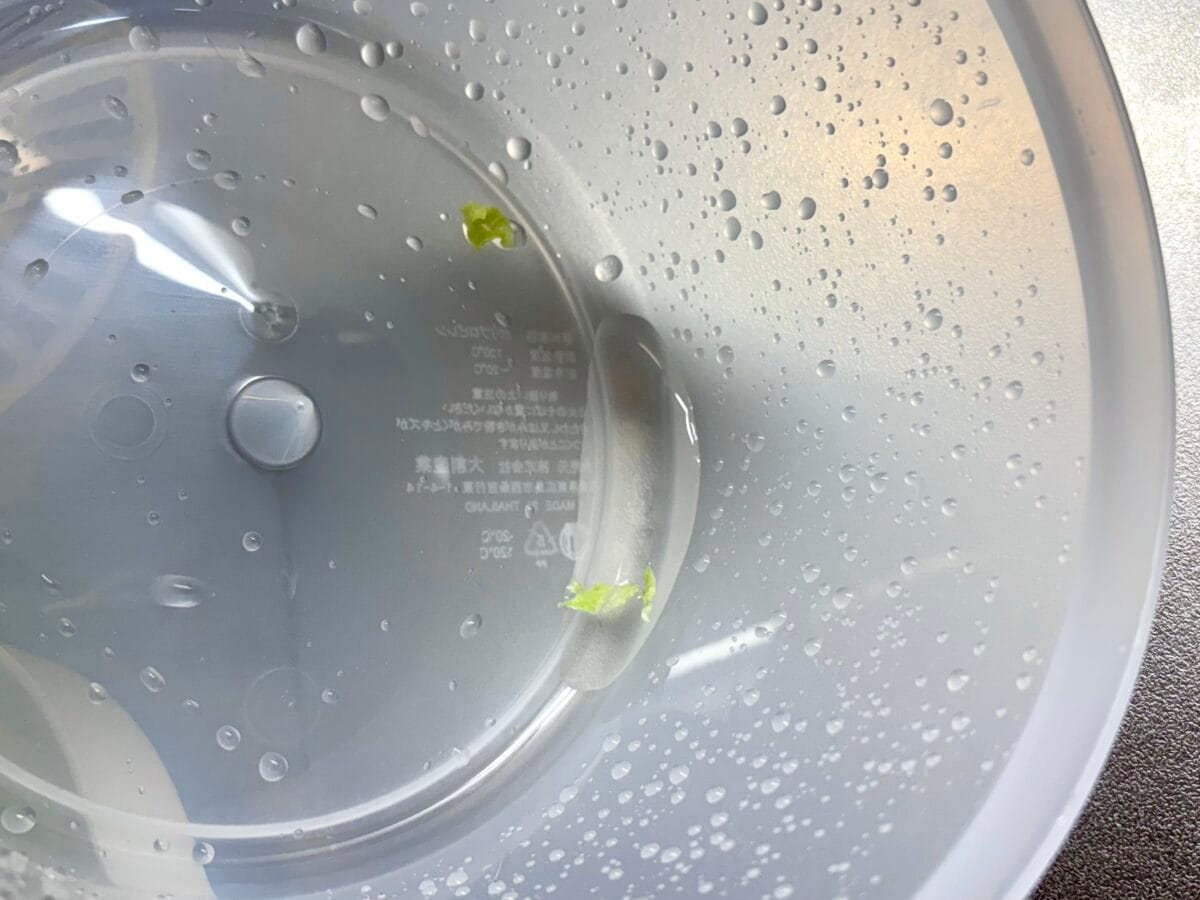 【正直レビュー】ダイソーのサラダスピナー、実際どう?