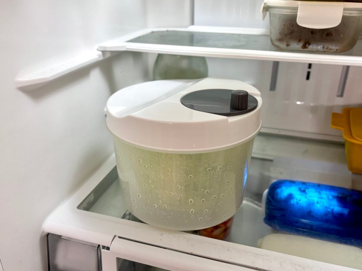 【正直レビュー】ダイソーのサラダスピナー、実際どう?