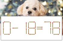 【マッチ棒パズル】正しい式にしよう！「0-18=78」【毎日脳トレ】