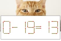 【マッチ棒パズル】正しい式にしよう！「0-19=13」【毎日脳トレ】
