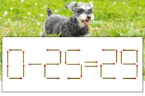 【マッチ棒パズル】正しい式にしよう！「0-25=29」【毎日脳トレ】