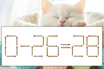 【マッチ棒パズル】正しい式にしよう！「0-26=28」【毎日脳トレ】