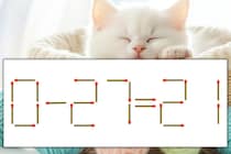【マッチ棒パズル】正しい式にしよう！「0-27=21」【毎日脳トレ】