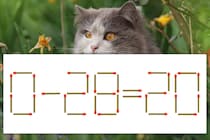 【マッチ棒パズル】正しい式にしよう！「0-28=20」【毎日脳トレ】