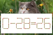 【マッチ棒パズル】正しい式にしよう！「0-28=26」【毎日脳トレ】