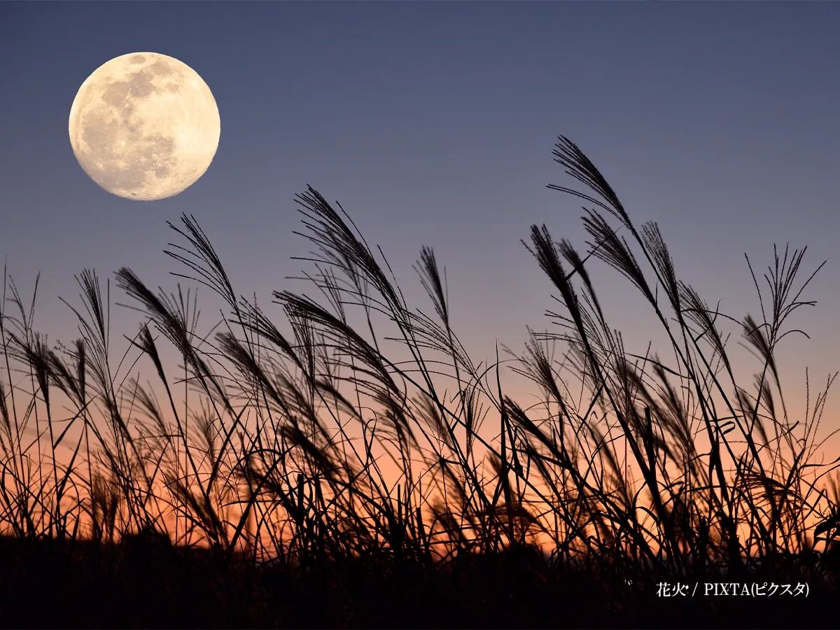 『中秋の名月』がいよいよ！翌日には『ハーベストムーン』も