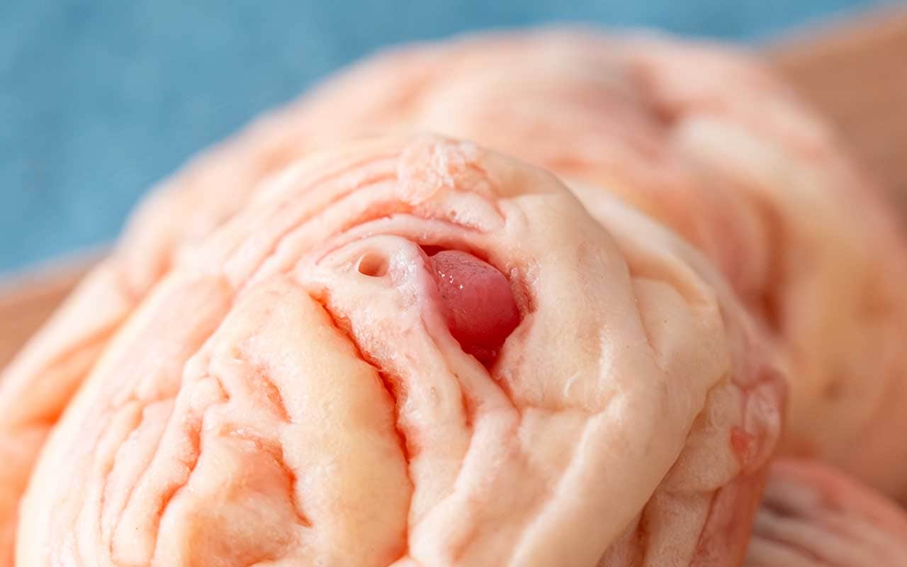 本当にパンなの？1個42円【セブン】新発売の菓子パンの魅力とは？