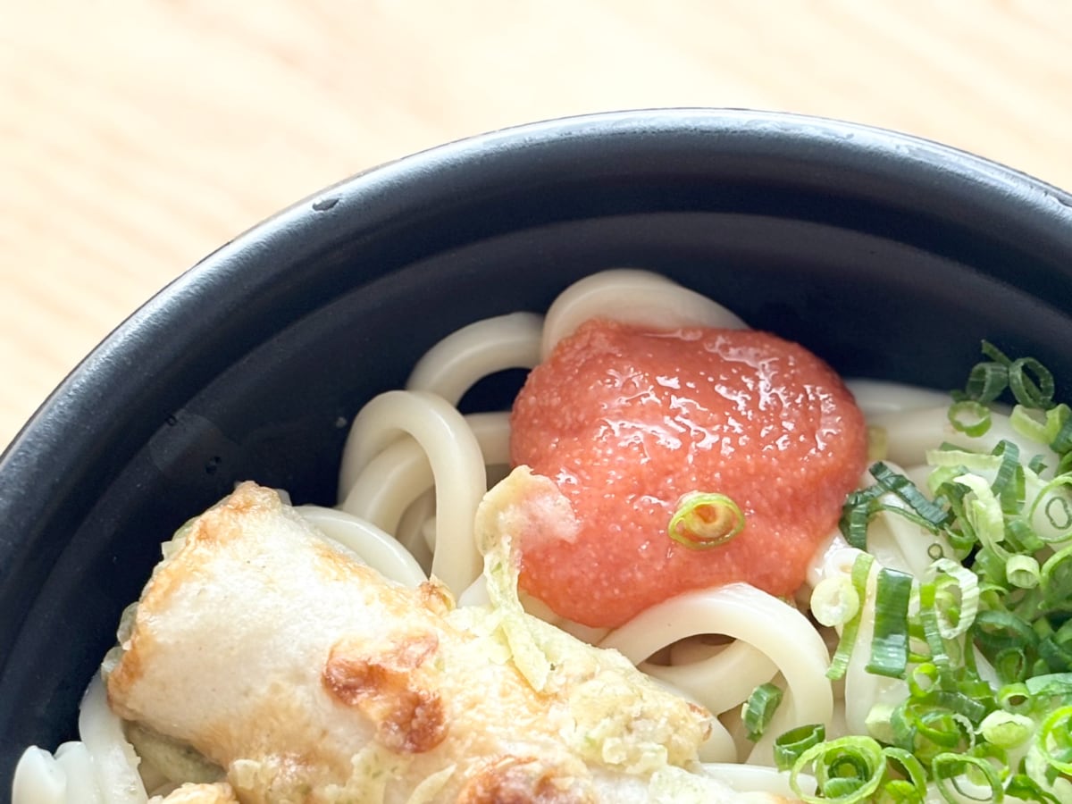 「これスゲェ」「常設にして」【ローソン】“お店の味”がする新作うどん