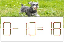 【マッチ棒パズル】正しい式にしよう！「0-10=18」【毎日脳トレ】