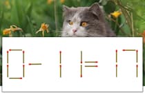 【マッチ棒パズル】正しい式にしよう！「0-11=17」【毎日脳トレ】