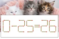【マッチ棒パズル】正しい式にしよう！「0-25=26」【毎日脳トレ】