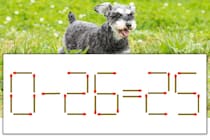 【マッチ棒パズル】正しい式にしよう！「0-26=25」【毎日脳トレ】