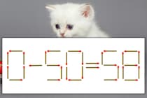 【マッチ棒パズル】正しい式にしよう！「0-50=58」【毎日脳トレ】