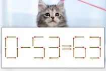 【マッチ棒パズル】正しい式にしよう！「0-53=63」【毎日脳トレ】