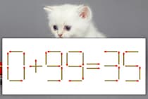 【マッチ棒パズル】正しい式にしよう！「0+99=35」【毎日脳トレ】