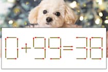【マッチ棒パズル】正しい式にしよう！「0+99=38」【毎日脳トレ】