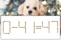 【マッチ棒パズル】正しい式にしよう！「0-41=47」【毎日脳トレ】