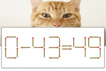 【マッチ棒パズル】正しい式にしよう！「0-43=49」【毎日脳トレ】