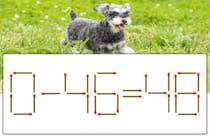 【マッチ棒パズル】正しい式にしよう！「0-46=48」【毎日脳トレ】