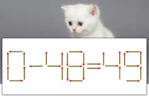 【マッチ棒パズル】正しい式にしよう！「0-48=49」【毎日脳トレ】