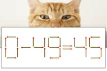 【マッチ棒パズル】正しい式にしよう！「0-49=45」【毎日脳トレ】