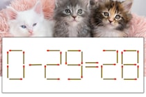 【マッチ棒パズル】正しい式にしよう！「0-29=28」【毎日脳トレ】
