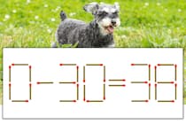 【マッチ棒パズル】正しい式にしよう！「0-30=38」【毎日脳トレ】
