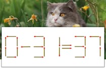 【マッチ棒パズル】正しい式にしよう！「0-31=37」【毎日脳トレ】