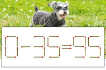 【マッチ棒パズル】正しい式にしよう！「0-35=95」【毎日脳トレ】