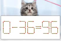 【マッチ棒パズル】正しい式にしよう！「0-36=96」【毎日脳トレ】
