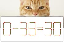 【マッチ棒パズル】正しい式にしよう！「0-38=30」【毎日脳トレ】