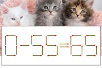 【マッチ棒パズル】正しい式にしよう！「0-55=65」【毎日脳トレ】