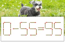 【マッチ棒パズル】正しい式にしよう！「0-55=95」【毎日脳トレ】