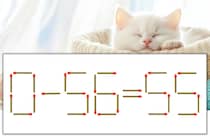 【マッチ棒パズル】正しい式にしよう！「0-56=55」【毎日脳トレ】