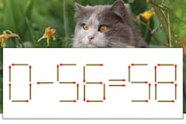 【マッチ棒パズル】正しい式にしよう！「0-56=58」【毎日脳トレ】