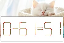 【マッチ棒パズル】正しい式にしよう！「0-61=51」【毎日脳トレ】