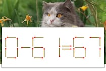 【マッチ棒パズル】正しい式にしよう！「0-61=67」【毎日脳トレ】