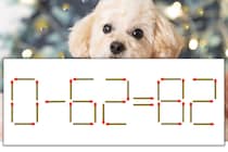 【マッチ棒パズル】正しい式にしよう！「0-62=82」【毎日脳トレ】