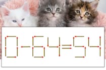 【マッチ棒パズル】正しい式にしよう！「0-64=54」【毎日脳トレ】