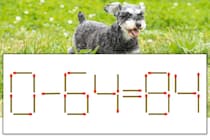 【マッチ棒パズル】正しい式にしよう！「0-64=84」【毎日脳トレ】