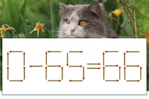 【マッチ棒パズル】正しい式にしよう！「0-65=66」【毎日脳トレ】