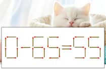 【マッチ棒パズル】正しい式にしよう！「0-65=55」【毎日脳トレ】