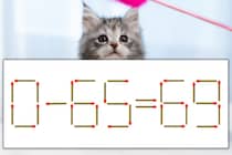【マッチ棒パズル】正しい式にしよう！「0-65=69」【毎日脳トレ】