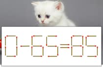【マッチ棒パズル】正しい式にしよう！「0-65=85」【毎日脳トレ】