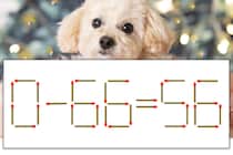 【マッチ棒パズル】正しい式にしよう！「0-66=56」【毎日脳トレ】