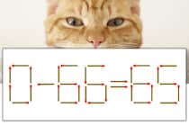 【マッチ棒パズル】正しい式にしよう！「0-66=65」【毎日脳トレ】