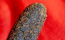 【セブン】で見つけた“黒棒”を食べてみたら子どもにおすすめのやつだった