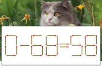 【マッチ棒パズル】正しい式にしよう！「0-68=58」【毎日脳トレ】