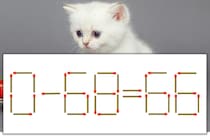 【マッチ棒パズル】正しい式にしよう！「0-68=66」【毎日脳トレ】